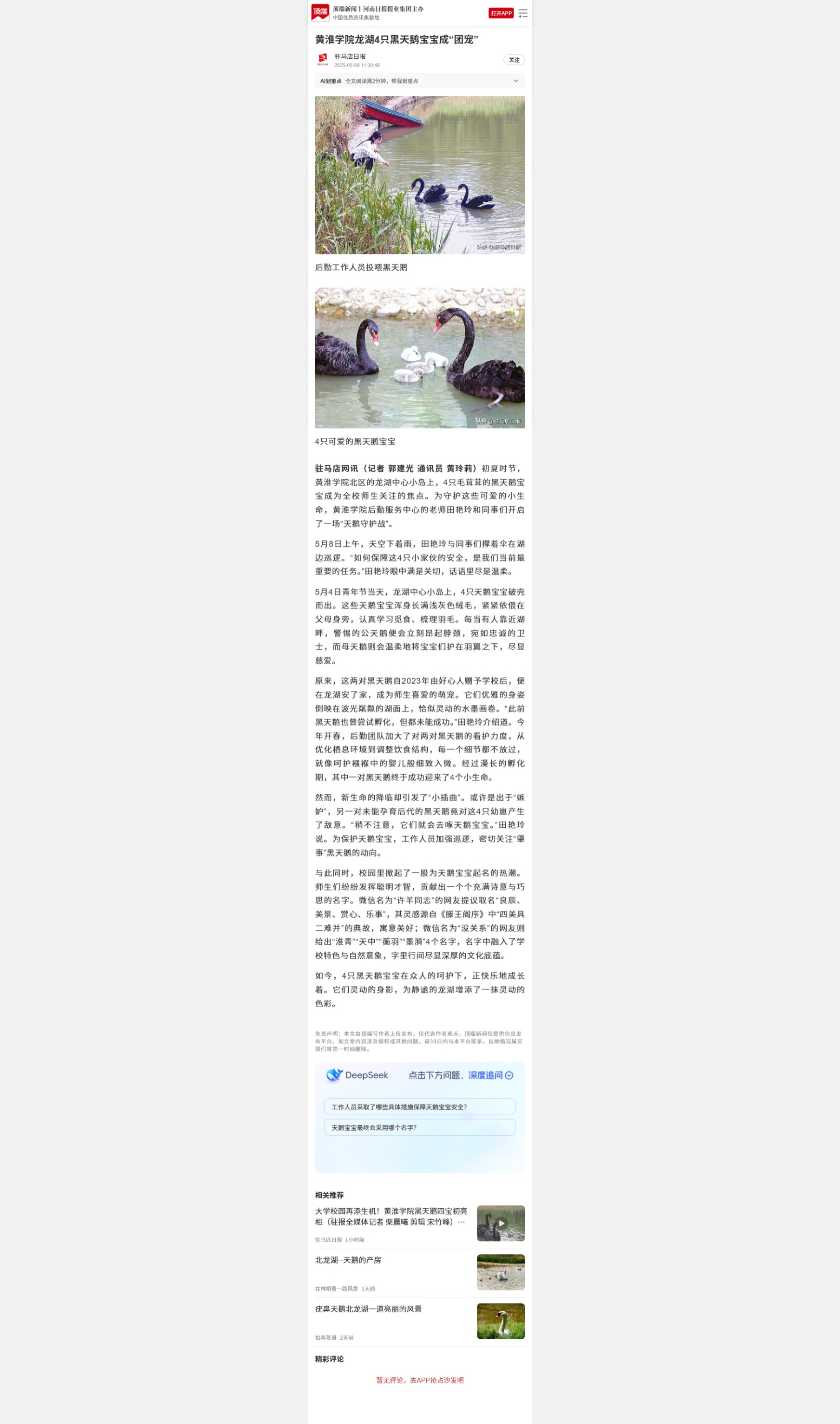 驻马店日报.jpeg