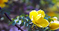 14d86b13f71a87fa.png