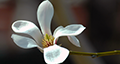 5edc6a962b32f7d3.png
