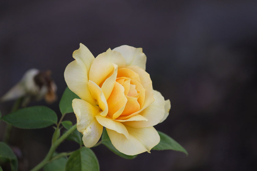 b72e1f8792a73f22.png