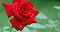 b0032949ec90eaee.png